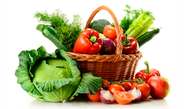 Alimentación Ecológica