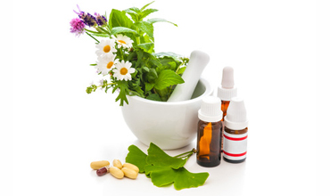 Plantas Medicinales
