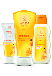 Calendula